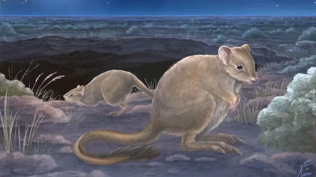 article-card-cover-australia-has-some-new-marsupial-species-but-theyre-already-extinct