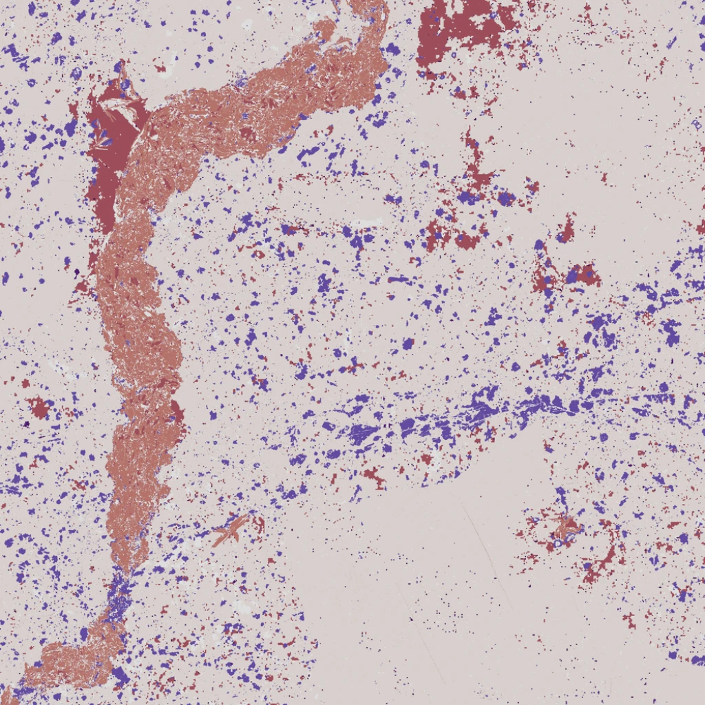 article-cardd-hover-a-groundbreaking-discovery-how-we-found-remnants-of-earths-primordial-crust-near-perth