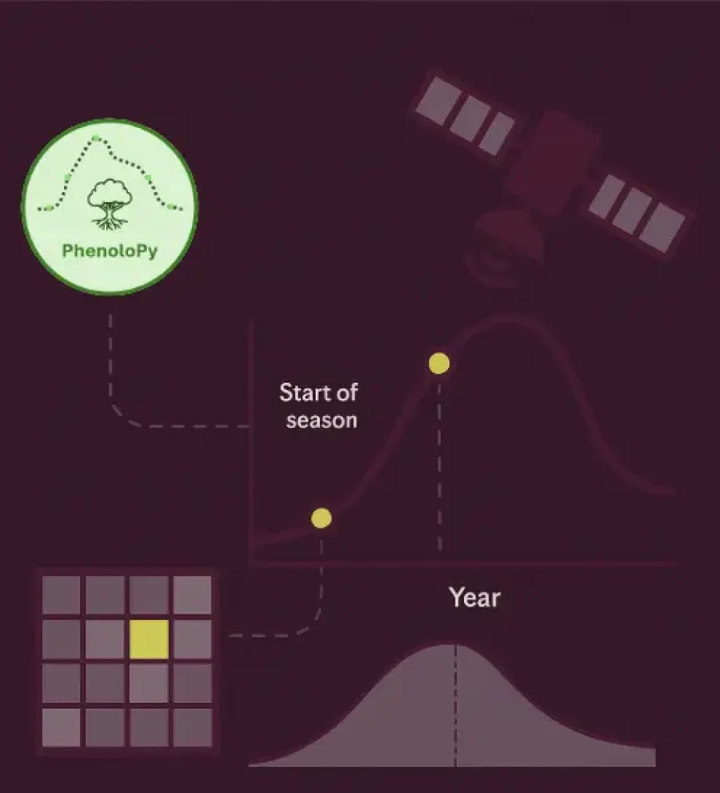 software-card-phenolopy